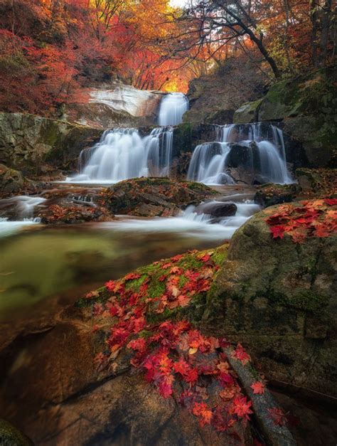 🇰🇷 Autumn Waterfall South Korea By Jaewoon U 500px 🍂 In 2020