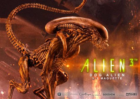 Alien is a 1979 science fiction horror film directed by ridley scott and starring tom skerritt, sigourney weaver, veronica cartwright, harry dean stanton, john hurt, ian holm and yaphet kotto. Museum Masterline Alien 3 (Film) ALIEN3/ 1:3 DOG ALIEN ...