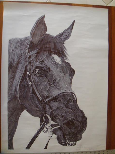 Horse Pen Drawing Drawing Academy Drawing Academy