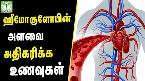 Here is a list of food ingredients rich in iron to help you prevent problems associated with lack of iron and to increase your haemoglobin levels. Foods to increase hemoglobin Levels - Tamil Health Tips ...