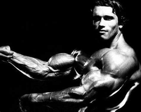 Arnold Bodybuilding Wallpapers Wallpaper Cave
