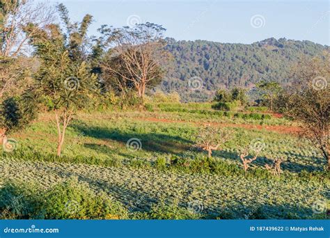 Rural Landscape In The Area Between Kalaw And Inle Myanm Stock Photo