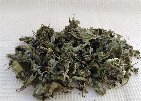 Dried Mint Leaves 10 25 50 G Organic Dried Peppermint Etsy