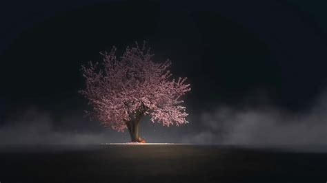 Girl Under Cherry Blossom Tree Live Wallpaper Moewalls