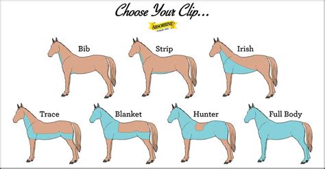 It Is Clipping Time Again Top Tips For A Smart Clip Every Time