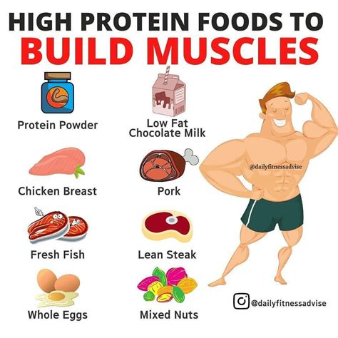 High Protein Foods To Build Muscle Food To Gain Muscle Muscle