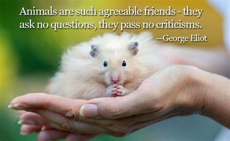 Inspirational Quotes For Animal Lovers Guideposts