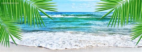 Beach Wave View Palm Trees Facebook Cover Facebook Cover Facebook