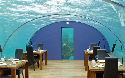Maldives Ithaa Underwater Restaurant Underwater Restaurant Unique