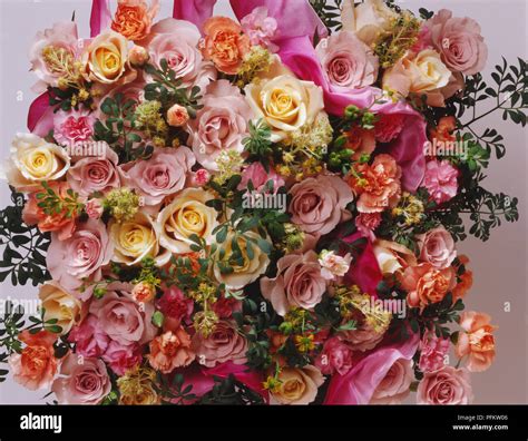 Overhead Display Of Roses Packed Closely Together Varying In Shades Of