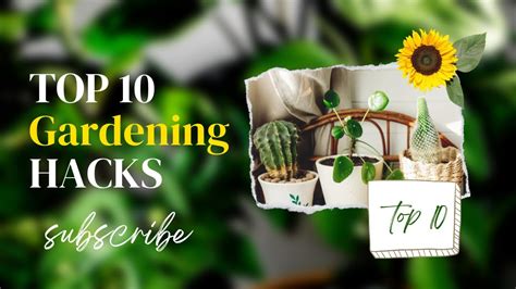 10 genius gardening hacks that you ll be glad to know youtube