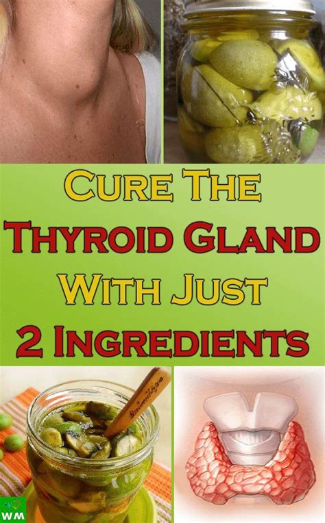 Cure The Thyroid Gland With Just 2 Ingredients Thyroid Gland Thyroid