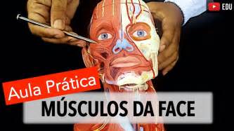 Músculos Da Face Aula Prática Com Wedson Vila Nova Anatomia E Etc