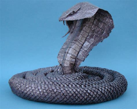 King Cobra By Manilafolder On Deviantart