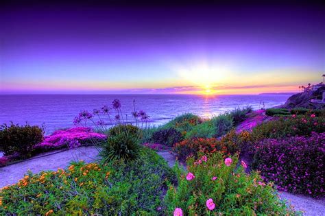 1920x1080px 1080p Free Download Lilac Sunset Sunset Sea Lilac