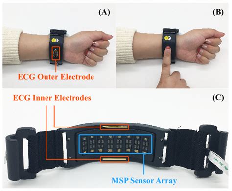 Sensors Free Full Text A Wearable Wrist Band Type System For Multimodal Biometrics