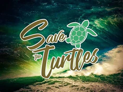 Save The Turtles Home