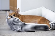 Le migliori 8 cucce morbide per cani | Cuccecani.com