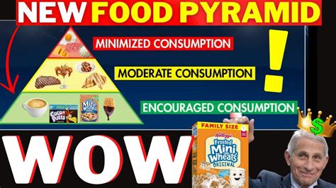 SHOCKING Your NEW Food Pyramid Prepping For SHTF Mindovermetal English