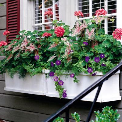 Window box in black (165) $152 and. Window Boxes Abloom