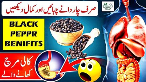 Health Benefits Of Black Pepper In Hindi Urdu What Happens In Your