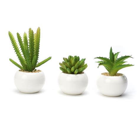 Modern Mini Artificial Succulent Plants Potted In Round White Ceramic
