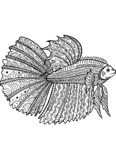 fish coloring pages  adults    print