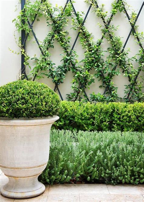 The diy garden trellis ideas serve as inspiration to avid diyers out there who wanted to come up with their own garden trellis design. DIY garden trellis ideas