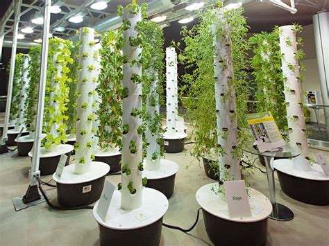 Vertical Farming Is Going To Feed Us All The New Economy