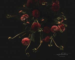 Deep Dark Dahlia Flowers Flower Photography Prints Custom Art Prints