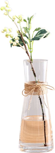 Download Jane European Modern Transparent Glass Dried Flower