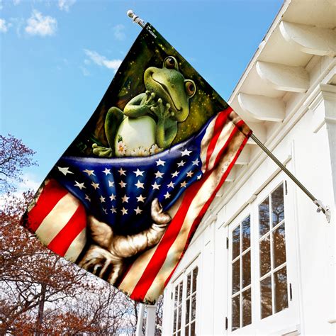 Frog American Flag Ddh1698f Flagwix