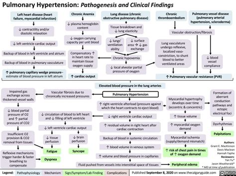 Pulmonary Hypertension Pathogenesis And Clinical Findings Calgary Guide