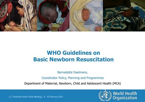 Ppt Who Guidelines On Basic Newborn Resuscitation Powerpoint