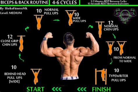 bodyweight back biceps workout [calisthenics routine] calisthenics routine bar workout
