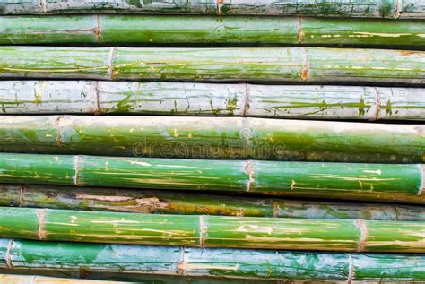 Pile Of Bamboo Closeup Stock Image Image Of Brown Material 17808399