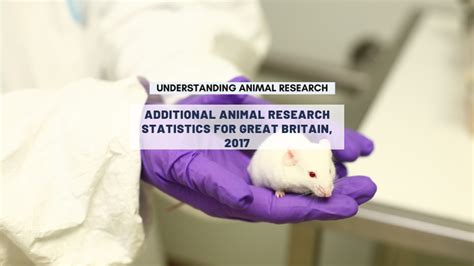 Additional Animal Research Statistics For Great Britain 2017
