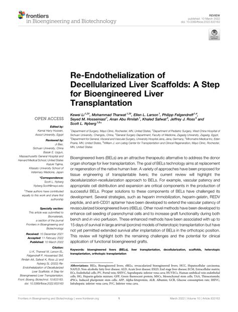 Pdf Re Endothelialization Of Decellularized Liver Scaffolds A Step