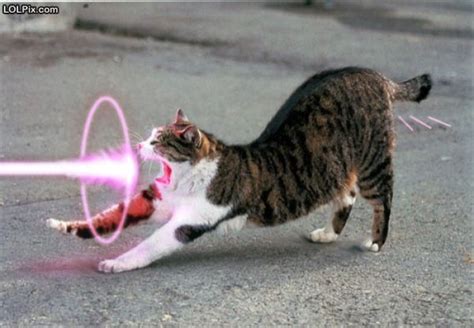 35 Most Funny Laser Photos That Will Make You Laugh Every Time