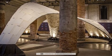 Armadillo Vault At The Venice Biennale