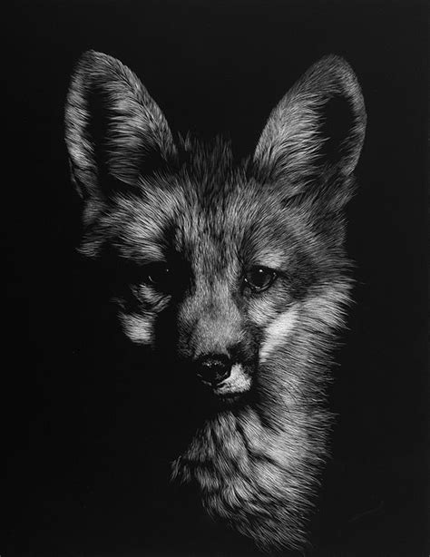 Pin By I Am On Wild Scratchboard Animals Black And White