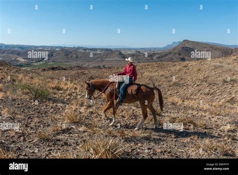 Horseback Riding In Big Bend Ranch State Park Texas Usa Stock Photo