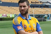 Andre-Pierre Gignac profile, height, wife, family, salary, injury and club