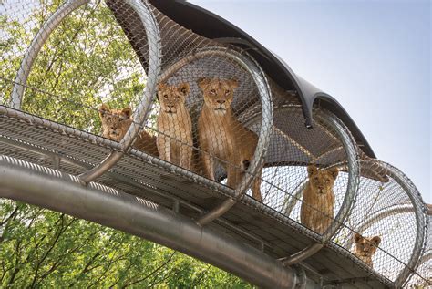 Philadelphia Zoo Reopens 8 Things To Know