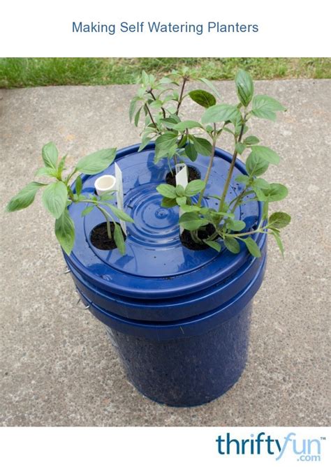 Upcycle old household items, furniture + more into creative diy plant container ideas from your wardrobe: Making Self Watering Planters | ThriftyFun