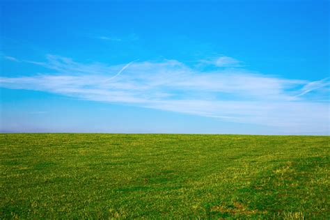 Green Field And Blue Sky Free Stock Photo Public Domain Pictures