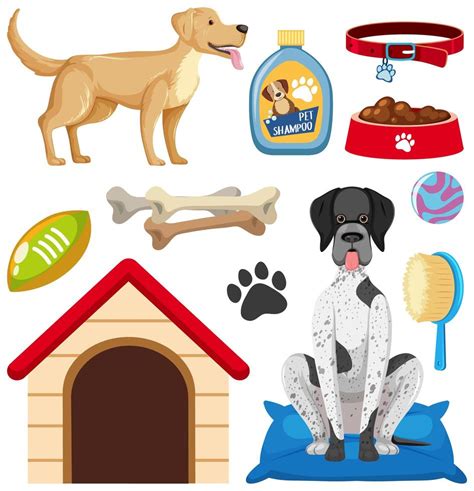 Accesorios Para Perros Y Conjunto De Elementos De Tienda De Mascotas