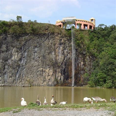 Parque Tanguá Curitiba Atualizado 2023 O Que Saber Antes De Ir Sobre O Que As Pessoas