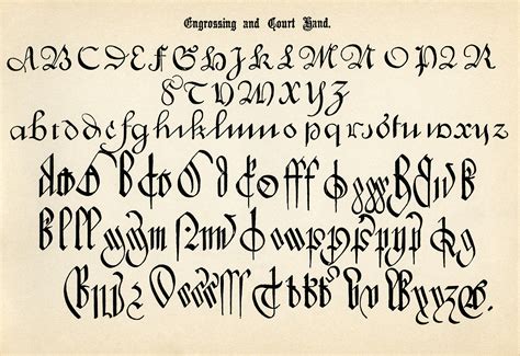 Best Calligraphy Fonts And Old English Alphabets I Vrogue Co