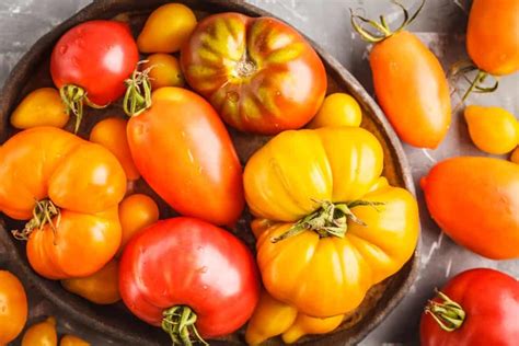 Types Of Tomatoes To Grow